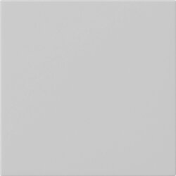 Gira Wippe 1f unbedruckt Sys 55 gr m