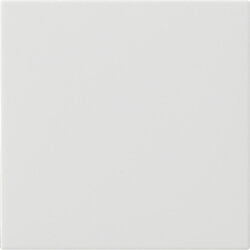 Gira Wippe 1f unbedruckt Sys 55 rw