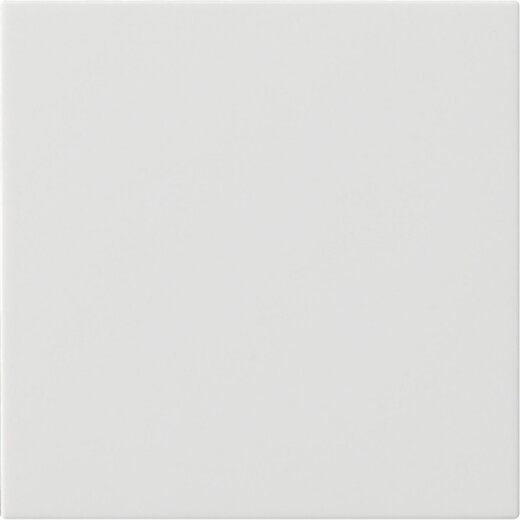 Gira Wippe 1f unbedruckt Sys 55 rw m