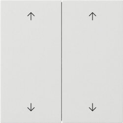 Gira Wippe 2f Pfeile Flächenschalter rw