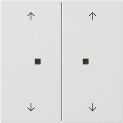 Gira Wippe 2f Pfeile Kontrollf. Flächenschalter rw