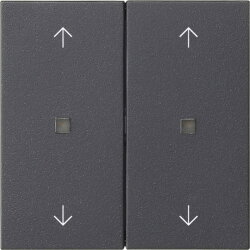 Gira Wippe 2f Pfeile Kontrollf. Sys 55 anthr.