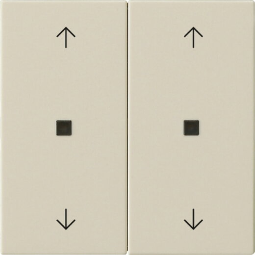 Gira Wippe 2f Pfeile Kontrollf. Sys 55 cw