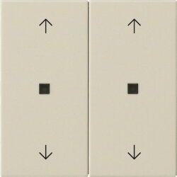 Gira Wippe 2f Pfeile Kontrollf. Sys 55 cw