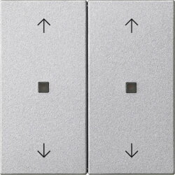 Gira Wippe 2f Pfeile Kontrollf. Sys 55 F alu