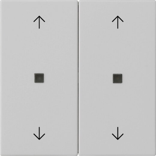 Gira Wippe 2f Pfeile Kontrollf. Sys 55 gr m