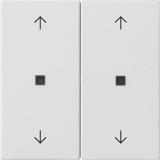 Gira Wippe 2f Pfeile Kontrollf. Sys 55 rw m