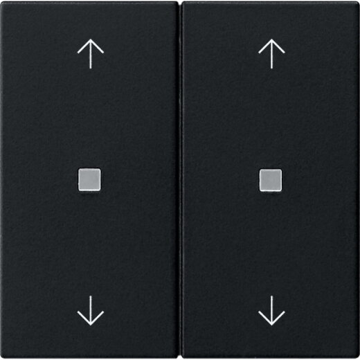 Gira Wippe 2f Pfeile Kontrollf. Sys 55 sw m