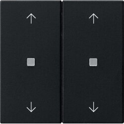 Gira Wippe 2f Pfeile Kontrollf. Sys 55 sw m