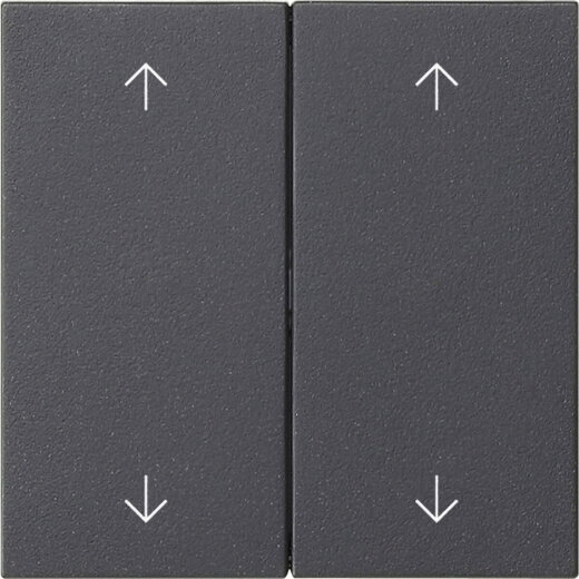 Gira Wippe 2f Pfeile Sys 55 anthr.