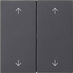 Gira Wippe 2f Pfeile Sys 55 anthr.