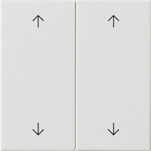 Gira Wippe 2f Pfeile Sys 55 rw