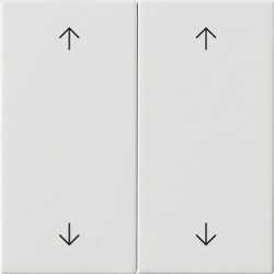 Gira Wippe 2f Pfeile Sys 55 rw