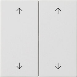 Gira Wippe 2f Pfeile Sys 55 rw m