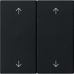 Gira Wippe 2f Pfeile Sys 55 sw m