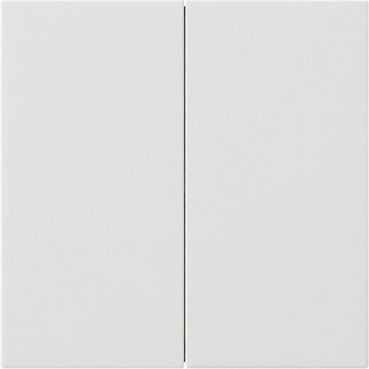 Gira Wippe 2f unbedruckt Flächenschalter rw