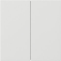 Gira Wippe 2f unbedruckt Flächenschalter rw