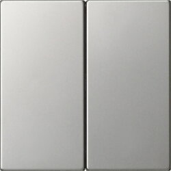 Gira Wippe 2f unbedruckt Sys 55 es