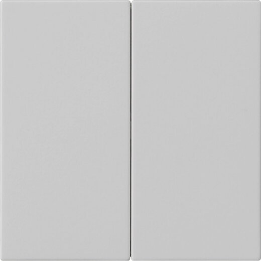 Gira Wippe 2f unbedruckt Sys 55 gr m