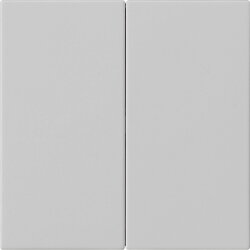 Gira Wippe 2f unbedruckt Sys 55 gr m