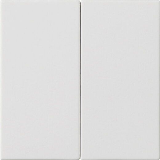 Gira Wippe 2f unbedruckt Sys 55 rw m