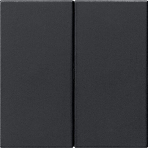 Gira Wippe 2f unbedruckt Sys 55 sw m