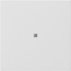 Gira Wippe 5171112 KNX Taster 1f Flächenschalter rw