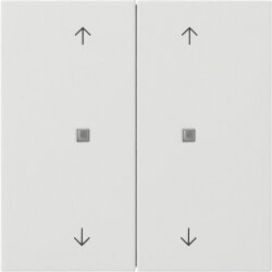 Gira Wippe 5174112 KNX Taster 2f Pfeile Fläche rw