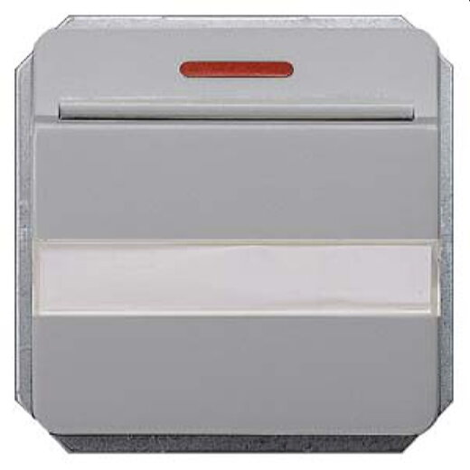 Siemens Hotelcard-Schalter silber 1W 5TG4814