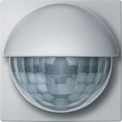 Merten Wächter, Bewegungsmelder MEG5530-0419 Argus...