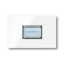 Busch-Jaeger 6345-24G-101 180 UP Wächter,...