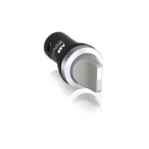 ABB Stotz-Kontakt Wahlschalter C2SS2-10U-11 1SFA619201R1077